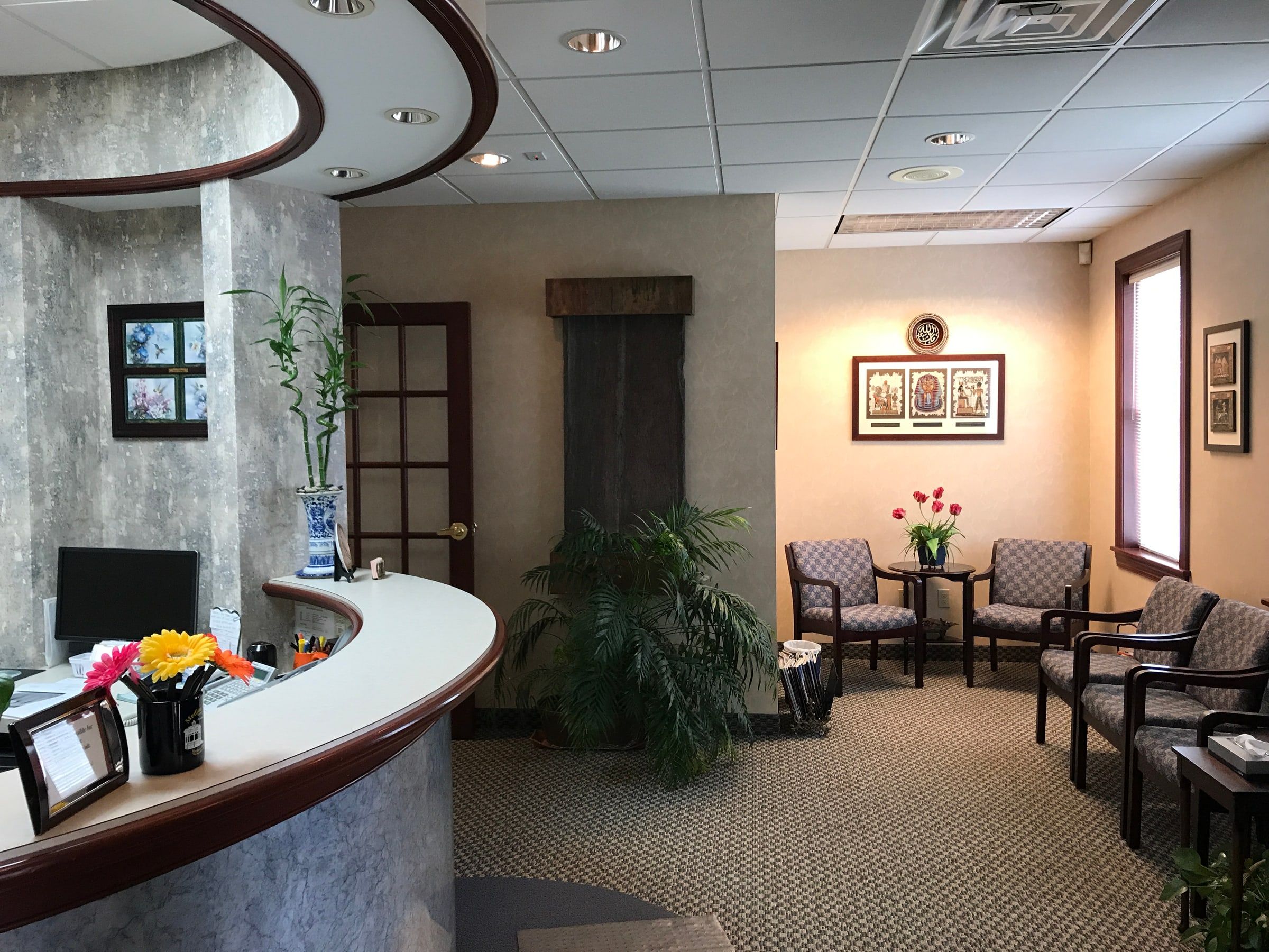 The curved front desk beside the waiting area, with a potted palm and tulips on a side table